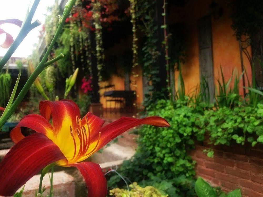 Hotel Eterna Primavera Antigua Dış mekan fotoğraf