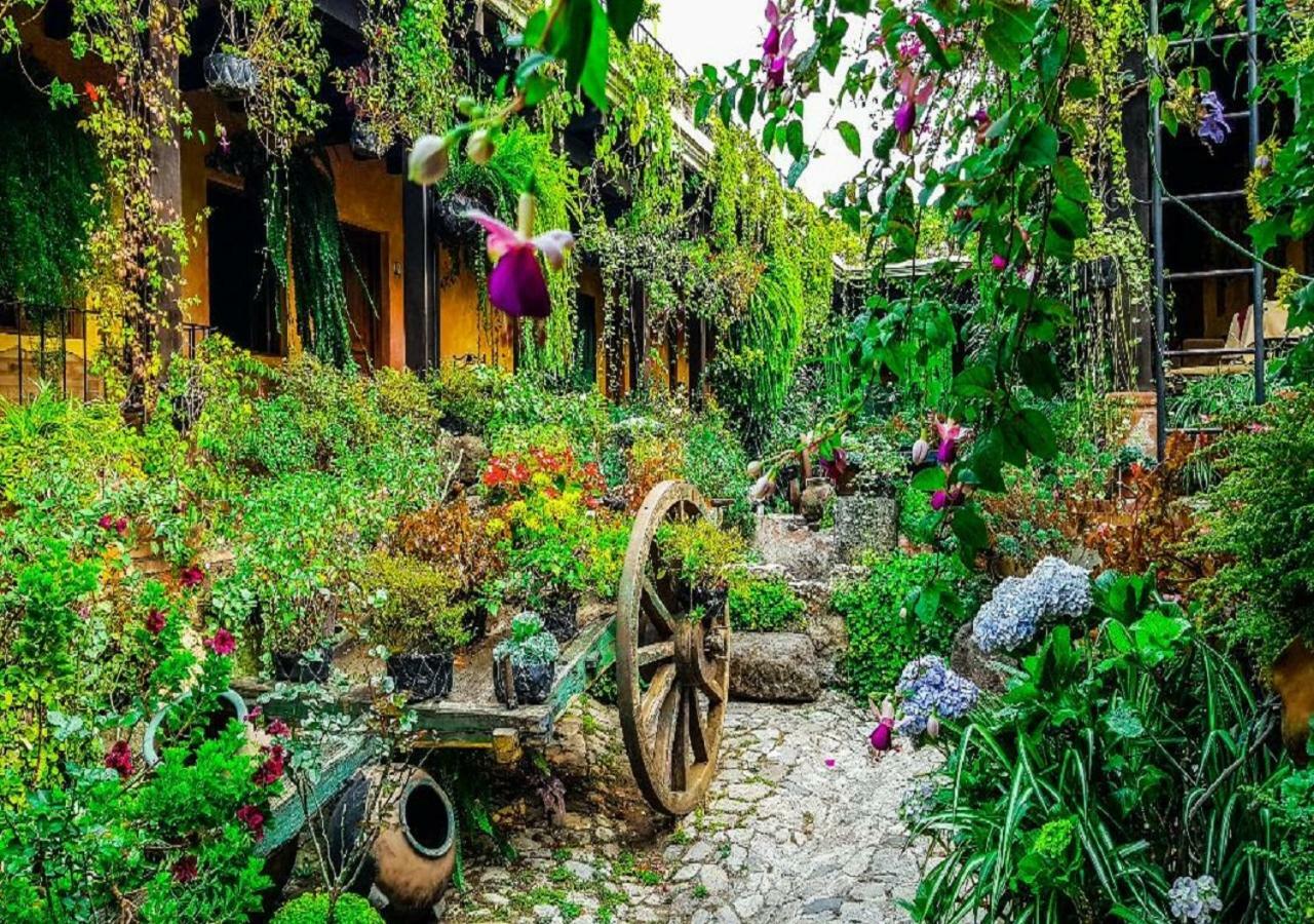 Hotel Eterna Primavera Antigua Dış mekan fotoğraf